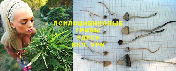 PSILOCYBIN Балабаново