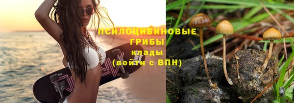 PSILOCYBIN Балабаново