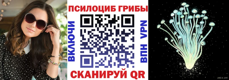 дарнет шоп  Соль-Илецк  Псилоцибиновые грибы мицелий 