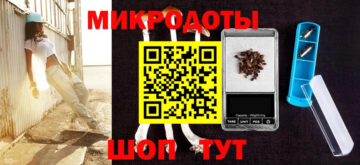 Соль-Илецк  Галлюциногенные грибы Psilocybine cubensis  Вход с VPN 