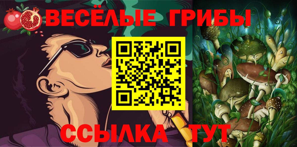 Галлюциногенные грибы Psilocybine cubensis Соль-Илецк